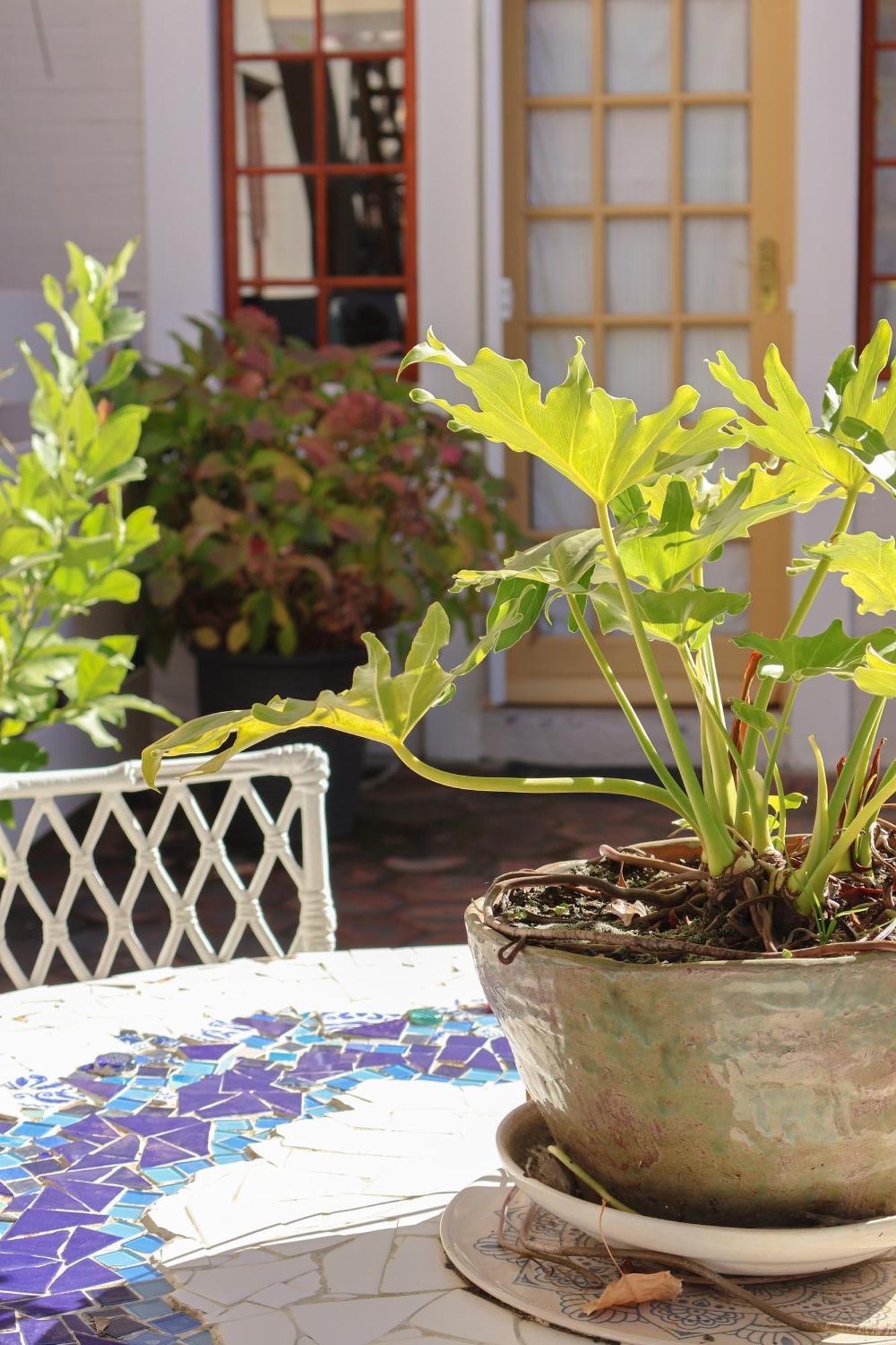 The Gate Guesthouse Clarens Luaran gambar